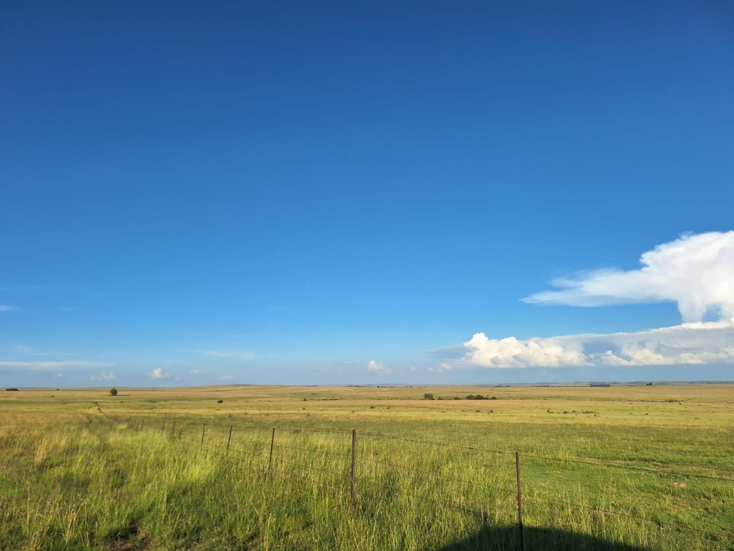 Farm for Sale - Free State